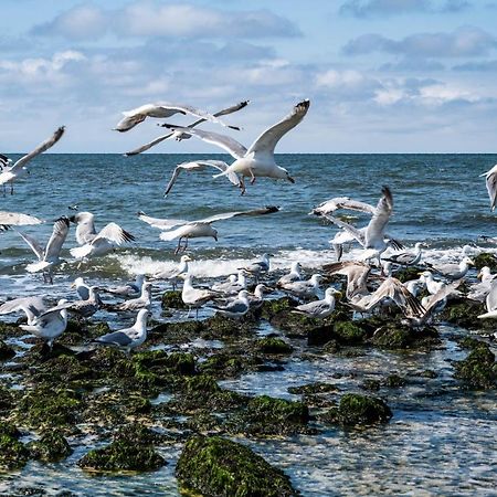 Sueden Daire Westerland Dış mekan fotoğraf